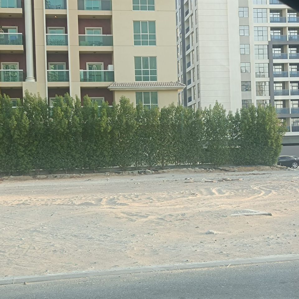 Prime Investment Opportunity: 16,463 Sqft Residential Building Plot for Sale in Jumeirah Village Circle Prime Investment Opportunity: 16,463 Sqft Residential Building Plot for Sale in Jumeirah Village Circle  | RGEstate UAE