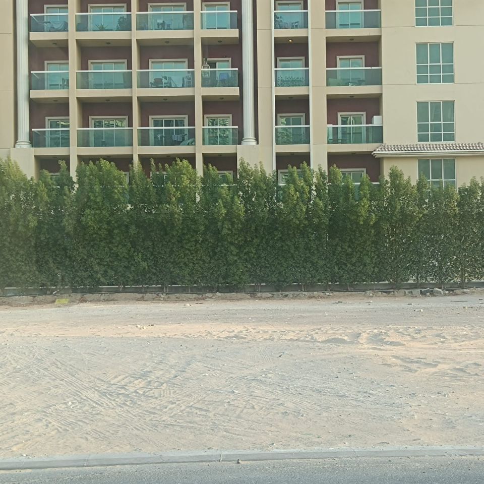 Rare Opportunity: 27,360 Sqft Freehold Residential Plot for Sale in Al Warsan 4 Rare Opportunity: 27,360 Sqft Freehold Residential Plot for Sale in Al Warsan 4  | RGEstate UAE