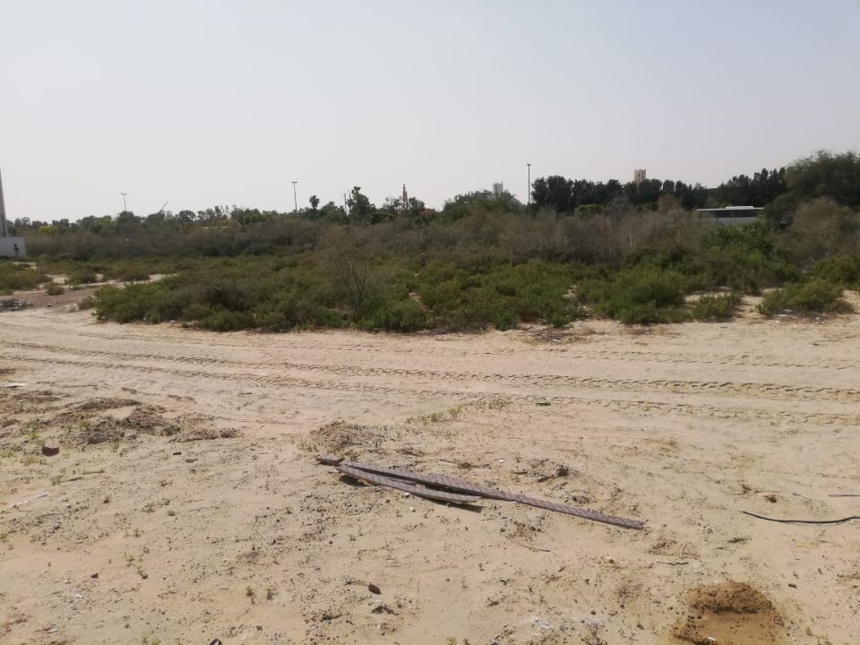 15,000 Sqft Residential Villas Plot Can Build G+2 For Sale in Mirdif Dubai 15,000 Sqft Residential Villas Plot Can Build G+2 For Sale in Mirdif Dubai  | RGEstate UAE